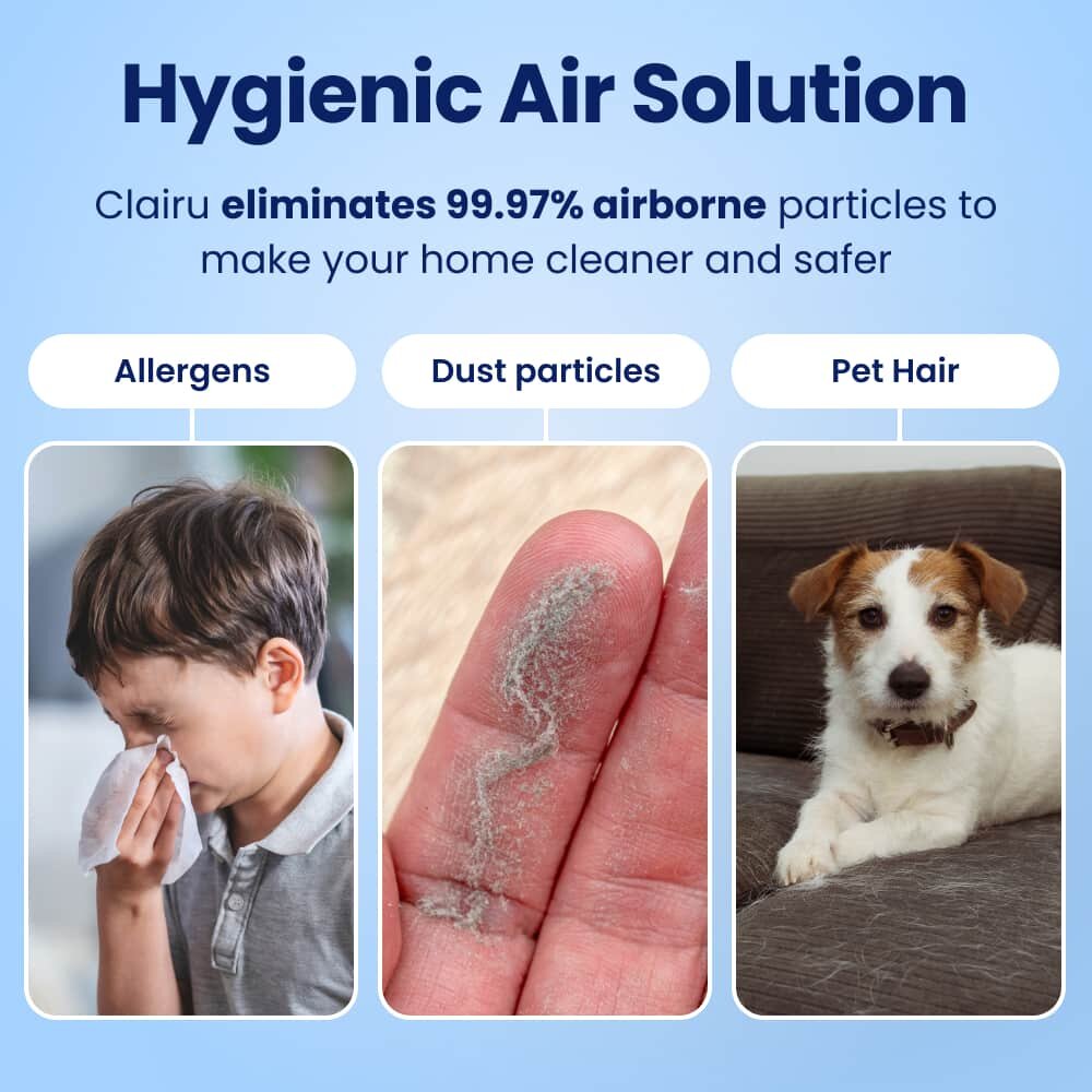 DustaClean image